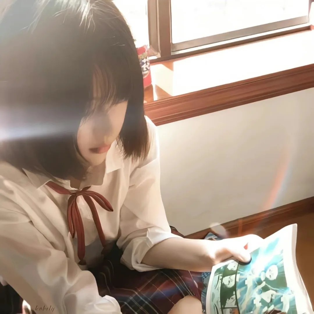 大明天子封面