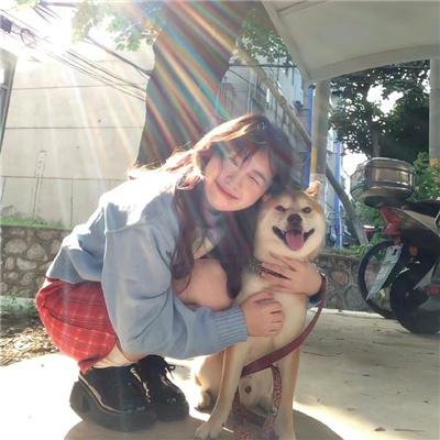 义犬奇行录封面