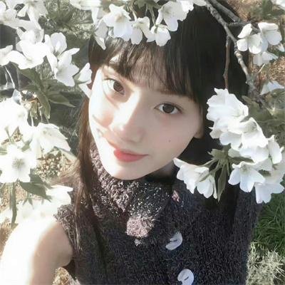 南波万的聚会第二季封面